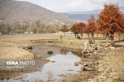  یک چهارم بارش‌های کرمانشاه از دست رفت/ تشنگی کم‌سابقه شرق استان