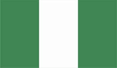  کشته شدن ۸ سرباز در نیجریه بر اثر انفجار