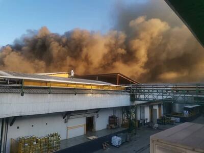شرکت لبنیانی کاله آمل دچار حریق شد