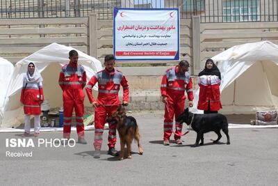  آمادگی مستمر نیروهای هلال‌احمر زنجان برای مواجهه با حوادث مختلف