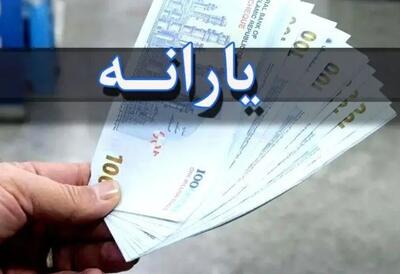 احمدنیا؛ یارانه نقدی حذف نمی‌شود، کالابرگ حمایتی مکمل آن است