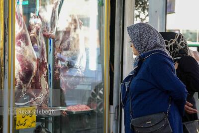 لاشه گوسفندی رکورد زد؛ قیمت درب کشتارگاه کیلویی چند؟