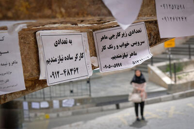 آموزش عالی بیکاری!