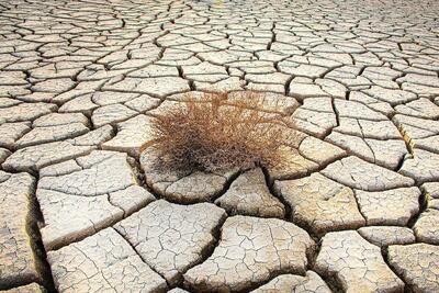 خشکسالی راه‌حل دارد مثل کشور‌های موفق!