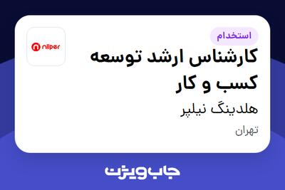  استخدام کارشناس ارشد توسعه کسب و کار در هلدینگ نیلپر