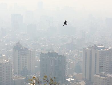 اختلاف داده‌های داخلی و جهانی درباره آلودگی هوای تهران/ علت چیست؟