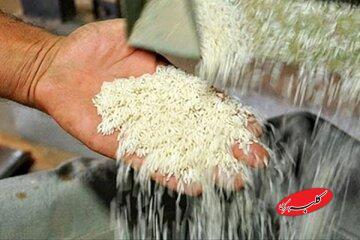  قیمت برنج در میادین و بازارهای میوه و تره‌بار اعلام شد - کلبه سرگرمی