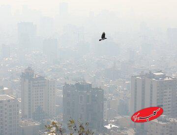  اختلاف داده‌های داخلی و جهانی درباره آلودگی هوای تهران/ علت چیست؟ - کلبه سرگرمی