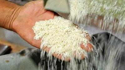 قیمت برنج در میادین و بازارهای میوه و تره‌بار اعلام شد - مردم سالاری آنلاین
