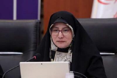 راه‌اندازی سامانه ارجاع نماد؛گامی مهم برای پیشگیری از آسیب‌های اجتماعی