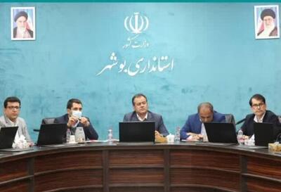  معاون استاندار بوشهر: نظارت بر بازار و حمایت از تولید افزایش یابد