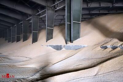 قیمت توافقی سویا در کنار تداوم عرضه در سامانه بازارگاه