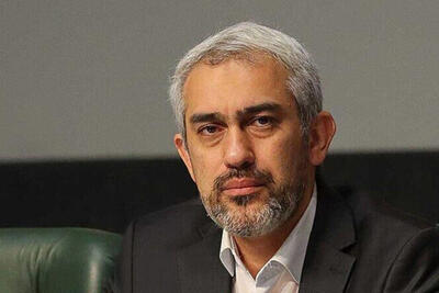 اظهارات جدید مدنی‌زاده درخصوص نرخ یارانه