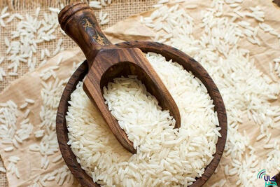 چرا قیمت برنج مازندران کاهش نیافته است؟