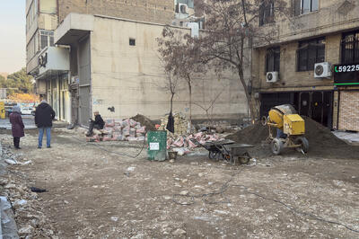 شمشادهای تهران قربانی بهسازی فضای شهری