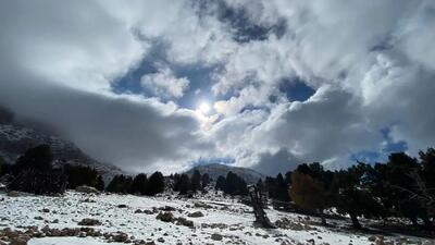 بازگشت سبز به ارتفاعات هماگ سوخته؛ طبیعت پس از آتش‌سوزی نفس تازه می‌کند + عکس