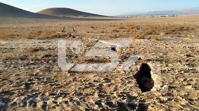  استان فارس روی لبه فروپاشی / زمین باقرآباد نوبندگان شکافت ! + فیلم