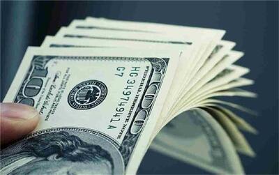 قیمت جدید دلار بعدازظهر سه‌شنبه 16دی 1404؛ دلار کوتاه بیا نیست!