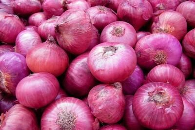 صرفه‌جویی سه میلیون و ۴۰۰ هزار مترمکعبی آب طی روند تولید پیاز در خراسان رضوی