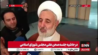  ذوالنوری: رئیس مجلس از پذیرش سوال از رئیس جمهور استنکاف کرد/ عدم تحویل سوال رئیس جمهور به دلیل وقت کشی برای جلب رضایت نمایندگان است