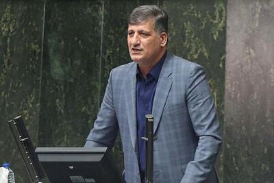 گودرزوند چگینی: یارانه نقطه مقابل فساد است و باید پرداخت شود/ ارز باید ساماندهی شود + فیلم