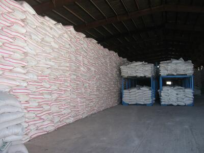  توزیع بیش از ۳۶ هزار تن کود کشاورزی در استان ایلام