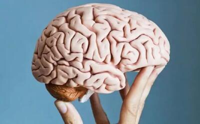 یک توصیه برای جوان نگه داشتن مغز