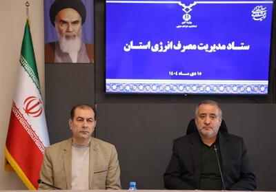 همراهی مردم خراسان جنوبی در مدیریت مصرف انرژی مثال‌زدنی است - تسنیم