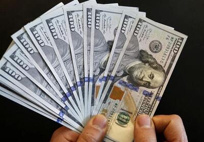 انتقال ارز پتروشیمی‌ها به تالار دوم؛ لزوم حمایت از صنایع پایین دستی - تسنیم