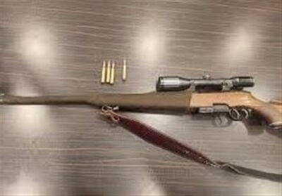 کشف 8 قبضه سلاح جنگی و شکاری در گرگان - تسنیم