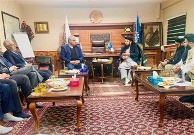 حسینی: امکان صدور سالانه 200 هزار ویزای کاری برای افغان‌ها فراهم است - تسنیم