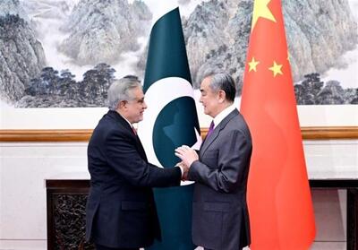 چین: هیچ کشوری نمی‌تواند نقش پلیس بین‌المللی را ایفا کند - تسنیم