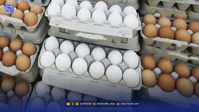  باورنکردنی؛ قیمت هر شانه تخم مرغ 420 هزار تومان می شود