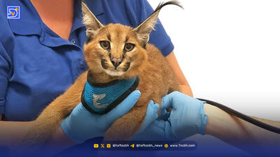 مرگی که می‌شد اتفاق نیفتد