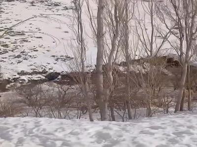  حجم برف زیبای باقی مانده بر بام خراسان