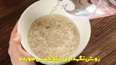  روش نگهداری برنج خیس خورده در یخچال | چند روز در یخچال باقی میماند؟