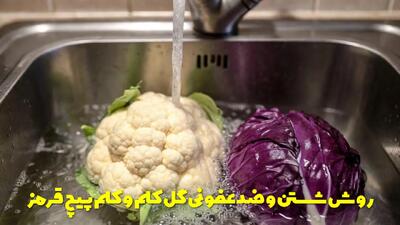  بهترین روش شستن و ضدعفونی گل کلم و کلم پیچ قرمز اصولی و مطمئن