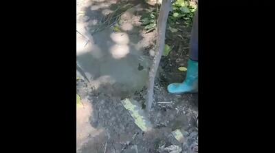  هشدار، این چاله های کوچک در طبیعت عمقی وحشتناک دارند