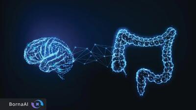  راز هوش انسانی در روده پنهان است؟