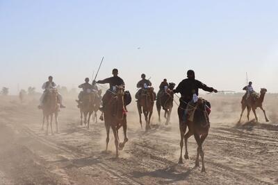  برگزاری مسابقات شترسواری با حضور نمایندگان پنج استان در دلگان