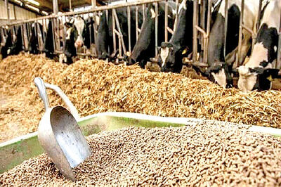 نهاده‌های دامی با نرخ توافقی در بازارگاه عرضه شد