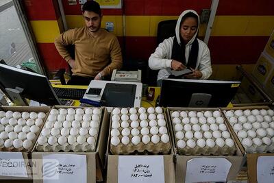 قیمت جدید تخم‌مرغ اعلام شد