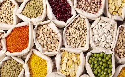  قیمت جدید حبوبات در میادین و بازارهای میوه و تره بار تهران