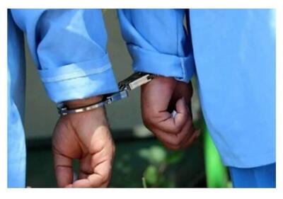 دادستان تربت حیدریه: عناصر وابسته به جریان بهائیت نوظهور به ۶۰ سال حبس محکوم شدند