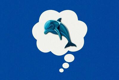 تکنیک دلفین آبی، راهی برای خلاصی از خرس های سفید!