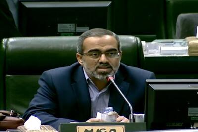  نماینده تهران: اگر جراحی مافیای اقتصادی شبه دولتی انجام نشود جراحی دولت شکست می‌خورد