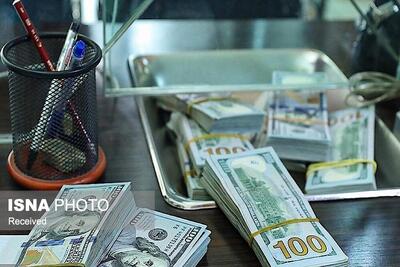  حذف ارز ترجیحی؛ آزمون دشوار دولت در مدیریت معیشت 