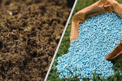  توزیع بیش از ۳۶ هزار تن کود کشاورزی در استان ایلام