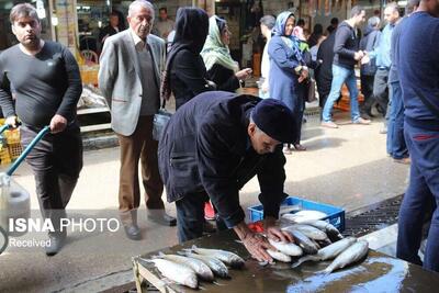  هشدار دامپزشکی زنجان نسبت به خرید ماهی از دست‌فروشان