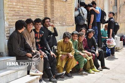  بیماریابی سل میان اتباع خارجی در دشتی